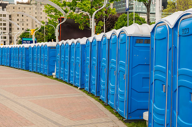 Best Portable Toilets with Baby Changing Stations  in Gardnerville, NV